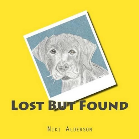 Lost But Found by Niki Alderson 9781532904127