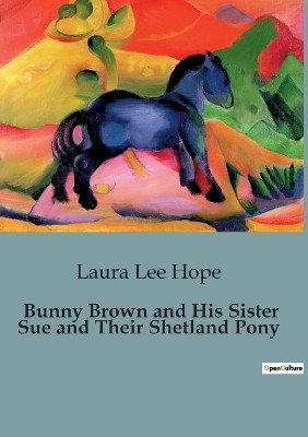 Bunny Brown and His Sister Sue and Their Shetland Pony by Laura Lee Hope 9791041847976