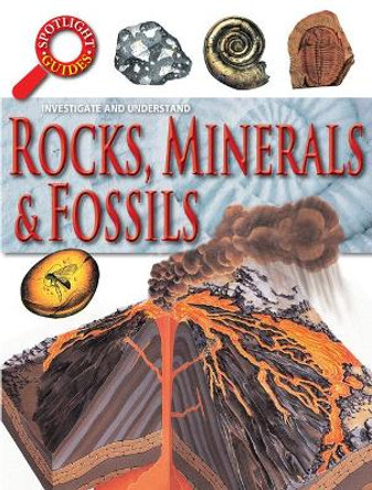 Rocks Minerals and Fossils by Neil Curtis