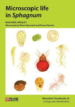Microscopic life in Sphagnum by Marjorie Hingley