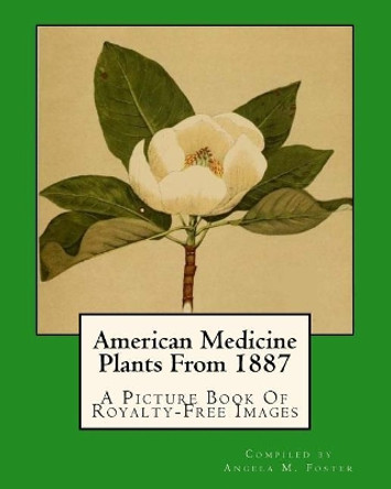 American Medicine Plants From 1887: A Picture Book Of Royalty-Free Images by Angela M Foster 9781546523635