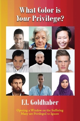 What Color is Your Privilege? by F I Goldhaber 9781945824562