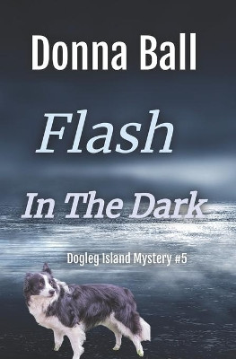 Flash in the Dark by Donna Ball 9781735127118