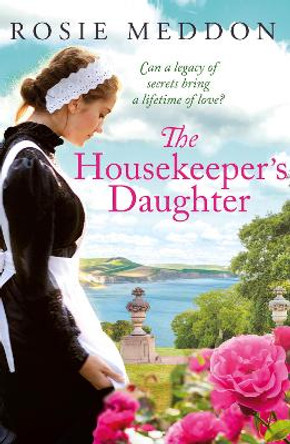 The Housekeeper's Daughter by Rosie Meddon