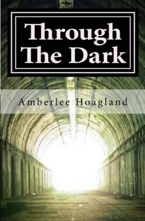 Through The Dark: MORE Inspiring stories of victims becoming survivors of Domestic Violence by Amberlee Hoagland 9781532879593