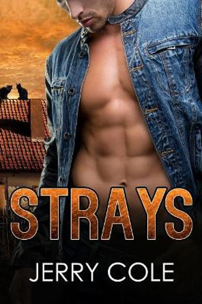 Strays by Jerry Cole 9781718877368