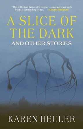 A Slice of the Dark and Other Stories by Karen Heuler 9781933846224