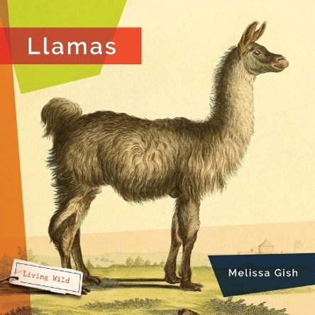 Llamas by Melissa Gish 9781682773413