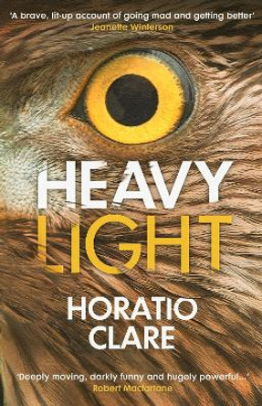 Heavy Light: A Journey Through Madness, Mania and Healing by Horatio Clare