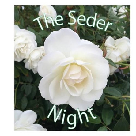 The Seder Night by Orna 9781530571932