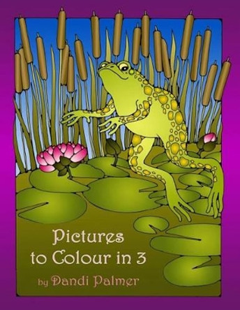 Pictures to Colour in 3 by Dandi Palmer 9781906442224