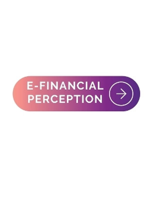 E-Financial Perception by Peter Louis 9788686680099