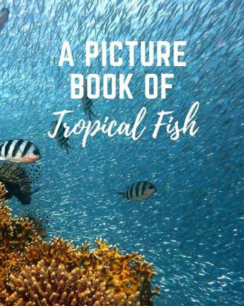 A Picture Book of Tropical Fish: Activity Books for Seniors With Dementia- Gift Book for Seniors With Alzheimer's in Large Print by Tranquility Publishing 9798573590240