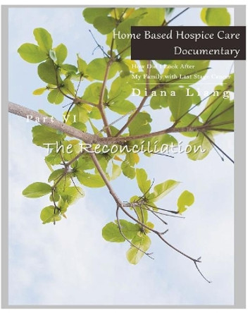 Home Based Hospice Care Documentary: How Did I Look After My Family with Last Stage Cancer by Diana Liang 9781983675140