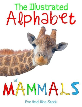 The Illustrated Alphabet of Mammals by Eve Heidi Bine-Stock 9781720031543