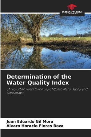 Determination of the Water Quality Index by Juan Eduardo Gil Mora 9786205830826