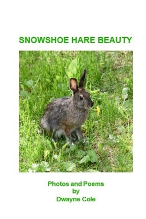 Snowshoe Hare Beauty by Dwayne Cole 9781960326546