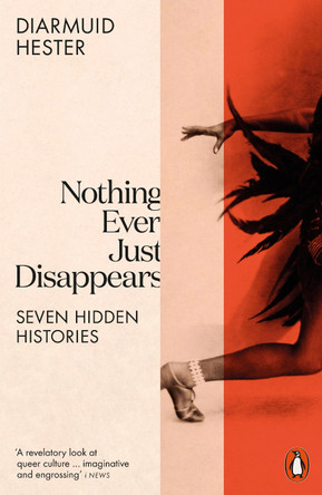 Nothing Ever Just Disappears: Seven Hidden Histories by Diarmuid Hester 9780141998060