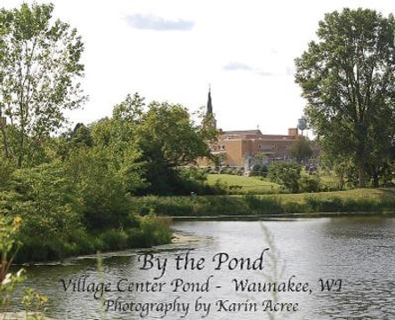 By the Pond by Karin Acree 9781937979447