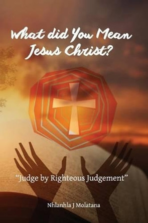 What Did You Mean Jesus Christ?: Judge by Righteous Judgement by Nhlanhla J Molatana 9781530677924