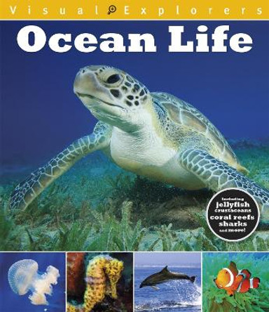 Visual Explorers: Ocean Life by Paul Calver