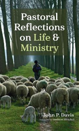 Pastoral Reflections on Life and Ministry by John P Davis 9781666723076