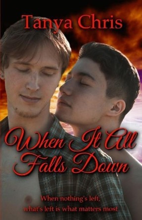 When It All Falls Down by Tanya Chris 9781541016644