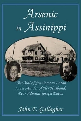 Arsenic in Assinippi by John F Gallagher 9781937588380