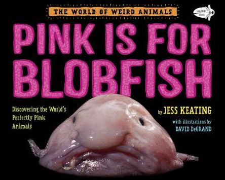 Pink Is For Blobfish: Discovering the World's Perfectly Pink Animals by Jess Keating