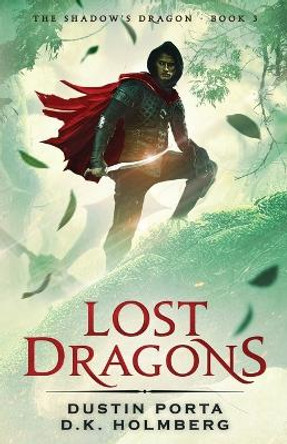 Lost Dragons by D K Holmberg 9798850531102