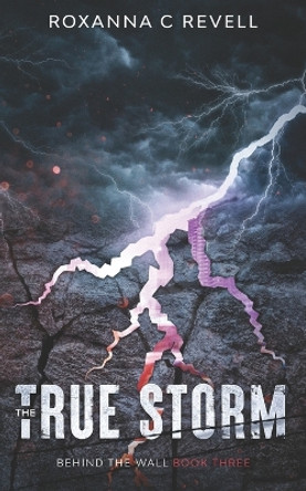 The True Storm: Behind the Wall: Book Three by Roxanna C Revell 9781513697635