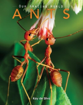 Ants: Amazing Pictures & Fun Facts on Animals in Nature by Kay De Silva 9781523417841