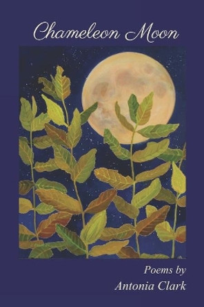 Chameleon Moon: Poems by Antonia Clark by Antonia Clark 9781733614207