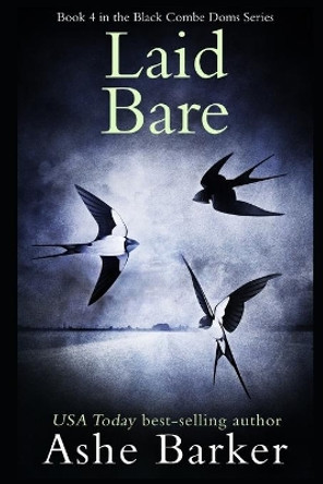 Laid Bare by Ashe Barker 9798610339771