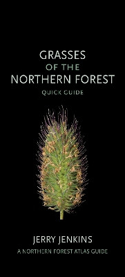 Grasses of the Northern Forest: Quick Guide by Jerry Jenkins 9781501764318