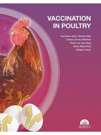 Vaccination in poultry by Francisco Javier Torrubia Diaz