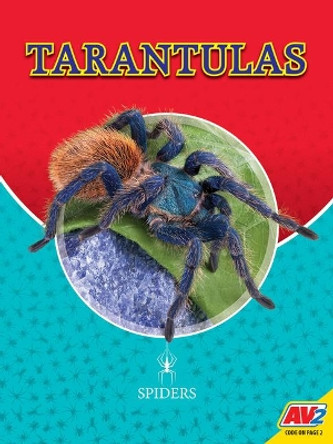 Tarantulas by Blaine Wiseman 9781791122966