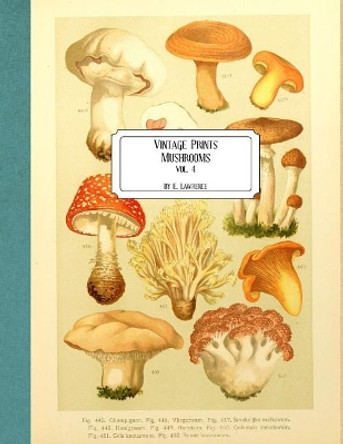 Vintage Prints: Mushrooms: Vol. 4 by E Lawrence 9781727036428