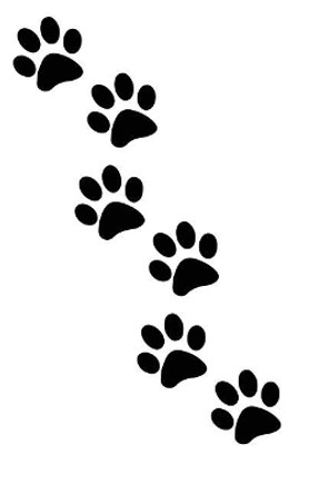 Paw Print Tracks: For Animal Lovers by Midwest Merchandise 9781796640496