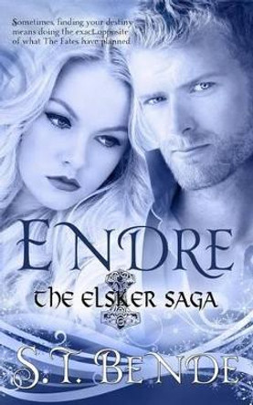 Endre: The Elsker Saga: Book Two by S T Bende 9781500216504