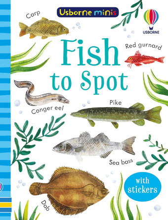 Fish to Spot by Kate Nolan 9781801317993