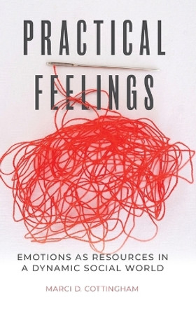 Practical Feelings: Emotions as Resources in a Dynamic Social World by Marci D. Cottingham 9780197613689