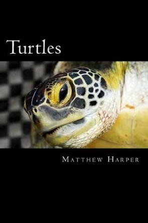 Turtles: A Fascinating Book Containing Turtle Facts, Trivia, Images & Memory Recall Quiz: Suitable for Adults & Children by Matthew Harper 9781500228149