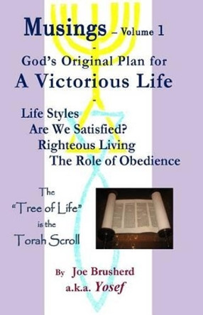 Musings Vol.#1 - A Victorious Life: Musings - Vol.1 A Victorious Life, God's Original Plan by Kurt S Johnson 9781502528612