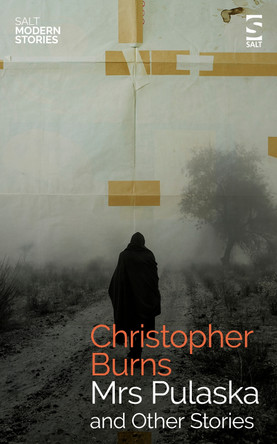 Mrs Pulaska and Other Stories by Mr Christopher Burns 9781784633158