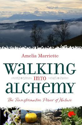 Walking into Alchemy by Amelia Marriette 9781861519474