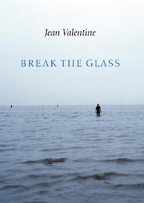Break the Glass by Jean Valentine 9781556593949