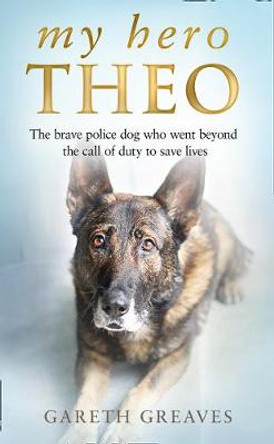 My Hero Theo by Gareth Greaves