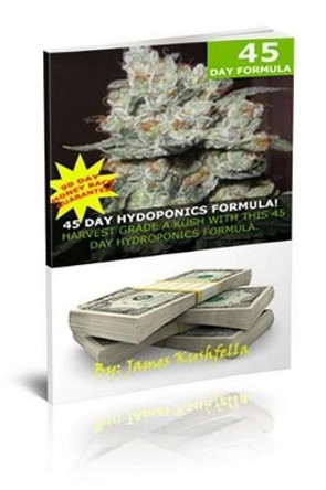 45 Day Hydroponic Formula by James Kushfella 9781480202511