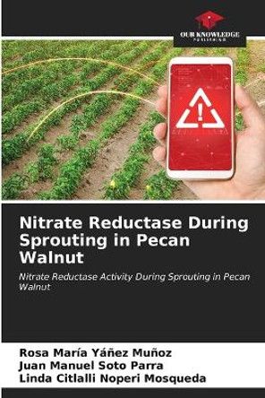 Nitrate Reductase During Sprouting in Pecan Walnut by Rosa María Yáñez Muñoz 9786206875581